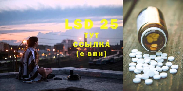 индика Балахна
