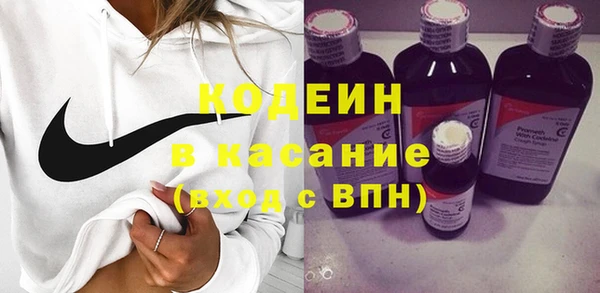индика Балахна