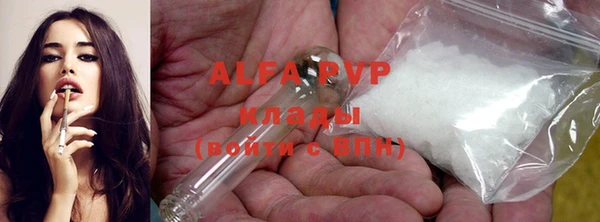 индика Балахна