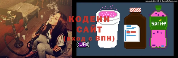 индика Балахна