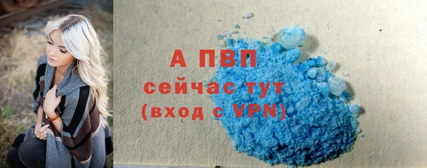 индика Балахна