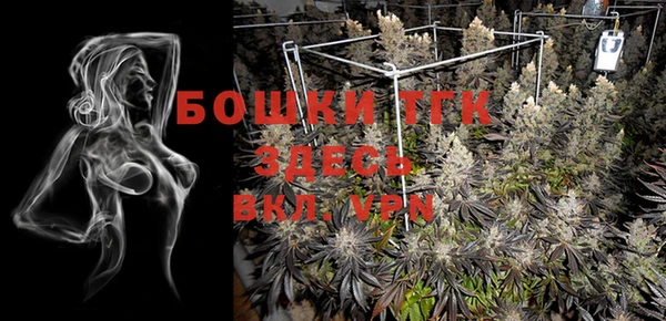 индика Балахна