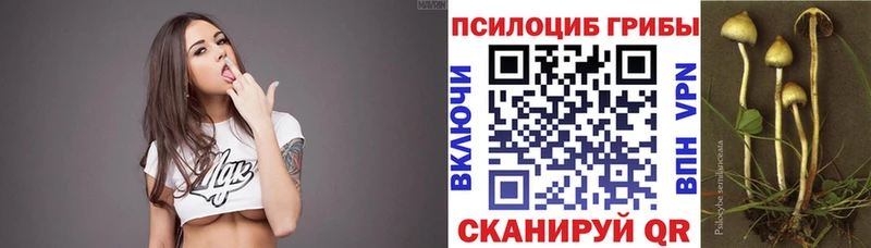 даркнет сайт Высоковск hydra tor Псилоцибиновые грибы мухоморы